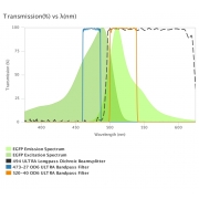 AUA-FL-GFP-usteep