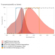 AUA-FL-RFP-usteep