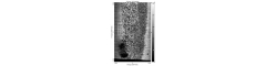 Microscopio Confocal Cromático-MC2_test1