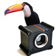 SIL-Toucan