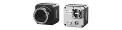 10GigE mono 2D-cameras - HIK