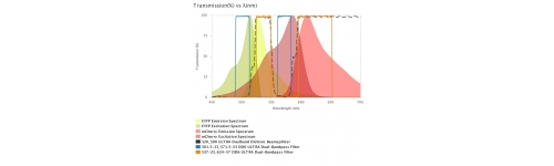 Fluorescence filter sets