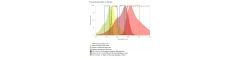Fluorescence filter sets