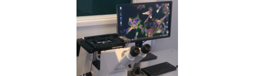 Microscopía y Ciencias de la Vida