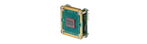 FPD-Link III camera modules color