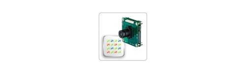 GigE color board cameras